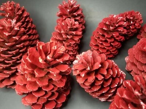🎅15 Red Pine Cones Hand Painted Natural Premium Ponderosa Cones - Picture 1 of 6