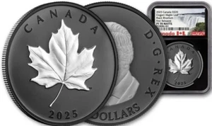 ๐บ๐ธ2025 Canada 1oz Silver $20 Elegant Maple Leaf Black Rhodium FR NGC PF70 #59 - Picture 1 of 4