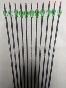 12 Victory Archery Xtorsion V3 Stainless Steel 5mm 350 Carbon Arrows! - Picture 1 of 4