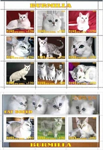 Stamp sheet+block Burmilla Cats 2021 Korea issue - Picture 1 of 1