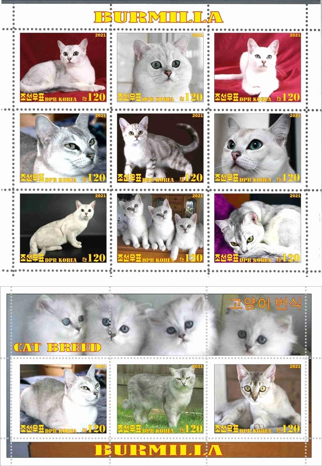 Stamp sheet+block Burmilla Cats 2021 Korea issue - Image 1 of 1