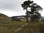 Photo 6x4 A scene near Woodend in Peeblesshire Stanhope/NT1229 The clump c2010