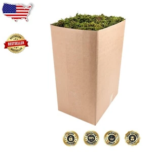 Long-Lasting Fresh Green Moss - 10lb Bulk for Potted Plants and Centerpieces - Picture 1 of 2