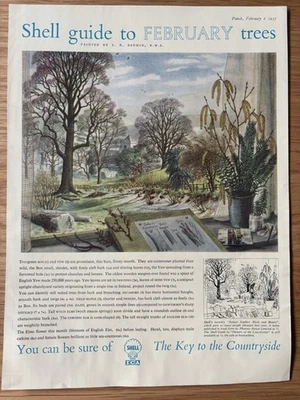 S R Badmin TREES IN FEBRUARY SHELL GUIDE  28cm x 21cm  Advert TO THE COUNTRYSIDE - Image 1 of 2