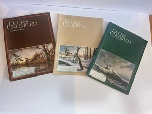 Ducks Unlimited 1985 Lot Of 3 Issues Vintage Duck Hunting Magazine Good Shape - Imagen 1 de 1