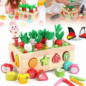 Holzspielzeug ab 3 Jahre Motorik Spielzeug Montessori Sortierspiel Holzpuzzle - Bild 1 von 18