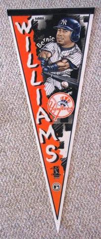 N.Y YANKEES~BERNIE WILLIAMS Pennant~12" by 29" FREE SHIPPING Cover