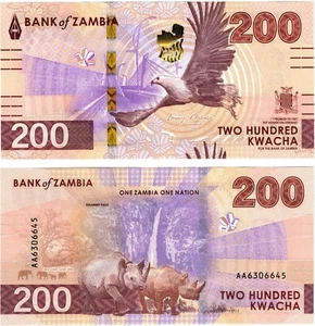 2025 new Zambia P66 200 Kwacha Banknote UNC - Picture 1 of 1