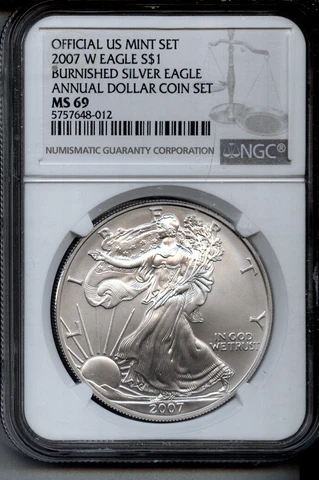 2007-W  ANNUAL $1 SET  burnished  SILVER EAGLE - NGC MS69 - NGC  BROWN LABEL Cover