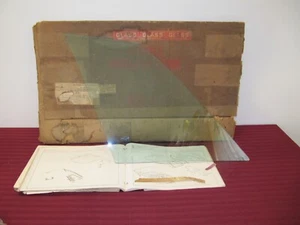 NOS Mercedes-Benz W113 230SL 250SL 280SL Hardtop Right Tinted Window Glass - Picture 1 of 5