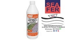 DETERGENTE ANTI-ALGHE E MUSCHIO E STRATI VERDI PER-ESTERNI - 1LT HG 181100108