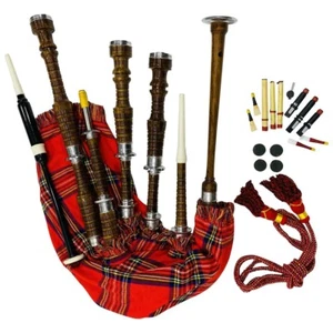 Professioneller schottischer Dudelsack - Palisander, Silbermontierungen, natürliche Optik - Bild 1 von 5