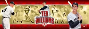 Boston Red Sox Ted Williams Photoramic #2010 - Imagen 1 de 5