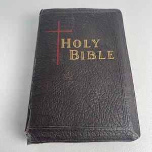 Holy Bible VTG - Fine Art Edition New Catholic Edition Illustrated - Foto 1 di 13