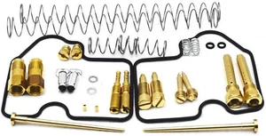 Partman Carburetor Repair Carb Rebuild Kit Fit for Prairie 650 & 700 Brute Forc - Picture 1 of 12