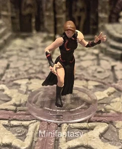 Vampiric Tatyana D&D Miniature Dungeons Dragons Ravenloft Strahd von Zarovich 14 - Picture 1 of 1