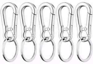 10 PACK Metal Keychain Carabiner Clip Keyring Key Ring Chain Clips Hook Holder - Picture 1 of 18