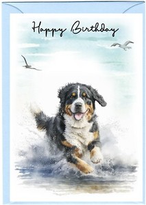 Bernese Mountain Dog (4" x 6") Birthday Card blank inside - by Starprint