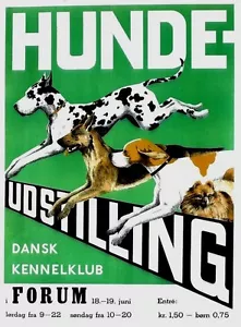 Original Vintage Poster DANISH DOG SHOW COPENHAGEN 1949 - Bild 1 von 1