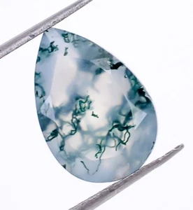 Natural Moss Agate Pear Shape 12X8mm Loose Gemstone For Jewelry Making 2.5 Ct. - Picture 1 of 7