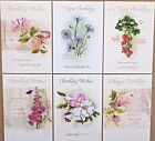 Pack of 6 Female Birthday Cards Female Ladies Floral Birthday Greeting Cards /w2