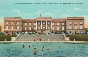 Museo de Historia Natural Parque de la Ciudad Piscina Gente Natación Postal Sin Usar - Imagen 1 de 2