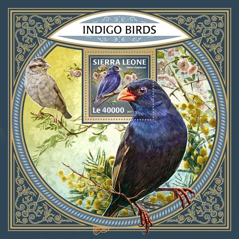 [650 32]- YEAR 2017 - SIERRA LEONE - INDIGO BIRD        1V   complet set  MNH/** - Image 1 of 1