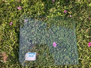 Jaguar MK9 MK8 MKIX MKVIII .RIGHT OR LEFT Rear Triplex Door Glass - Picture 1 of 19