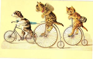 Vintage-Style Postcard With Cats & Dog On Bicycles - Picture 1 of 2