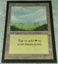PLAINS Beta Collector’s Edition LP Magic the Gathering MTG CE