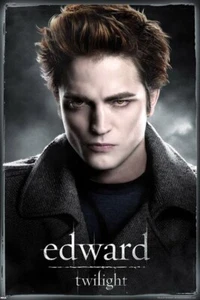 TWILIGHT HEDWARD PP31687 3TW POSTER - Imagen 1 de 1
