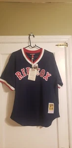 Mitchell & Ness 1990 Boston Red Sox Ted Williams Batting Practice Jersey Sz 44 L - Picture 1 of 4