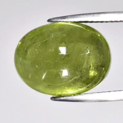 💎 16.08ct 15.5x11.8mm Cabujón Ovalado Natural Verde Granate Grosular - Gema de África Foto 1 de 4