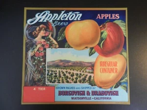 VINTAGE APPLETON APPLES UNUSED LABEL. Approx. 9 1/2" X 10 1/4" - Picture 1 of 1