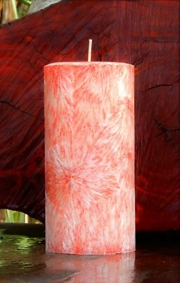 40hr BIRD of PARADISE Hand Made Naturally Scented PLANT BASED Pillar CANDLE Gift - Image 1 of 4