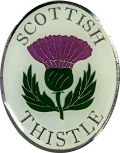 Fridge Magnet Scottish Thistle on a Brass Metal Souvenir Magnet - Bild 1 von 4