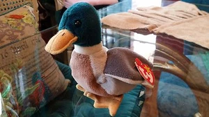 Ty Jake the Mallard Duck - Picture 1 of 6