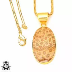 Fossilized Coral 24K Gold Plated Pendant 3mm Snake Chain GPH331 - Picture 1 of 10