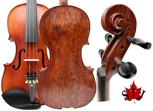 SONG Maestro Advanced Violino 4/4, Violino in palissandro full size, Buon suono #15377 - Foto 1 di 11