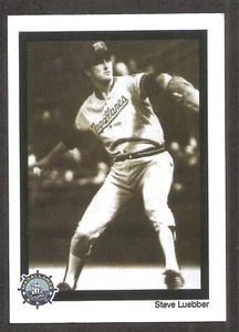 Pegatinas Steve Luebber 2007 Panini Liga Venezolana de Invierno #124 Muy Raras - Imagen 1 de 4