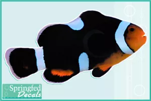 SCHWARZE PHOTONEN CLOWNFISCHE Vinyl Aufkleber Auto LKW Aquarium Fische Decal - Bild 1 von 1