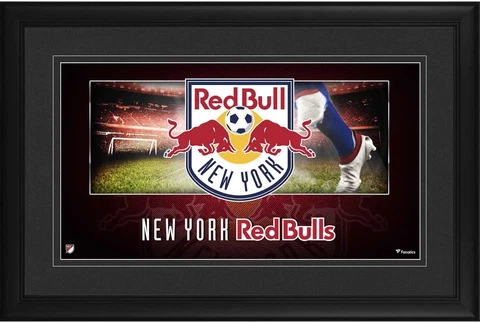 New York Red Bulls Framed 10" x 18" Team Logo Panoramic Photograph Cover