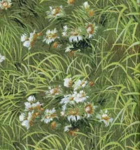 Daisies Meadow Grass Daisy Tiger Group Exclusively Quilters Fabric By FQ 1/4 YD - Picture 1 of 5