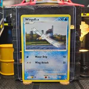 Wingull Great Encounters Pokémon TCG 95/106 Diamond & Pearl Common - Picture 1 of 6