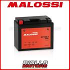 Mt12b-4 Batteria Malossi Gel Ducati Multistrada 1000Ds 1000 2005 Yt12b-4 4419604