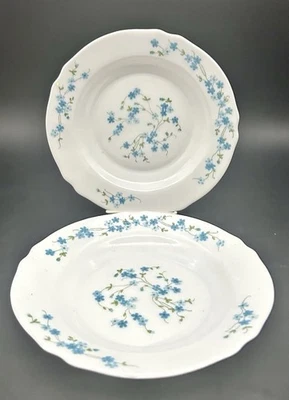 Juego de dos platos con borde de Verónica ARCOROC ARCOPAL de colección Foto 1 de 4