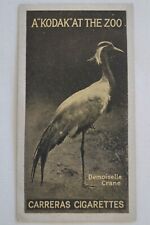 A Kodak at The Zoo Vintage 1924 Pre WWII Carreras Trade Card Demoiselle Crane