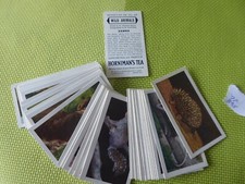 A FULL SET OF 50 HORNIMANS TEA CARD   -- WILD ANIMALS