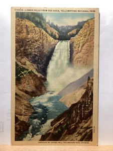 Lower Falls from Red Rock, Yellowstone National Park - Vintage Postcard - Picture 1 of 3