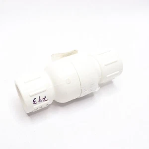 Everbilt 3/4 in. FIP x FIP PVC Threaded Check Valve - Picture 1 of 5